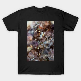 Points Of Light T-Shirt